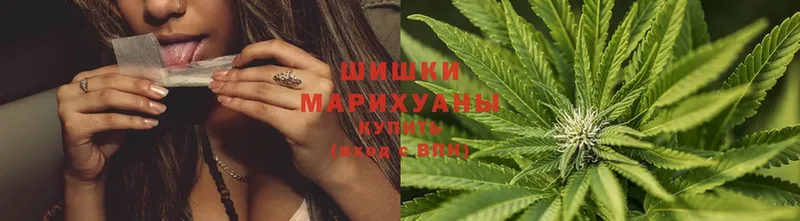 Бошки марихуана Bruce Banner  OMG зеркало  Катайск  хочу наркоту 